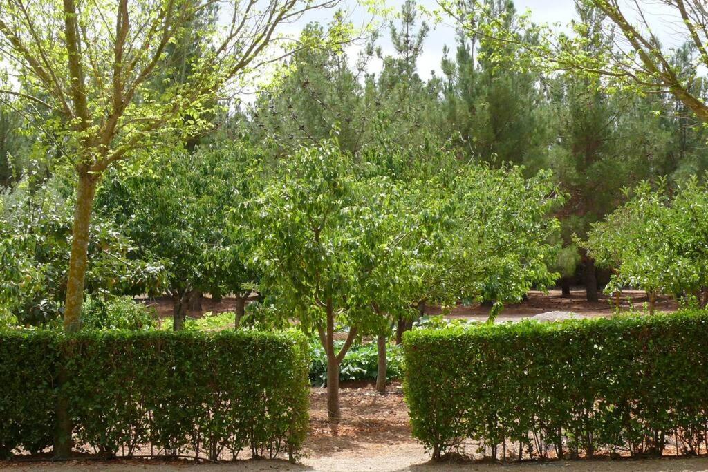 Casa En El Campo Con Encanto المنسى المظهر الخارجي الصورة